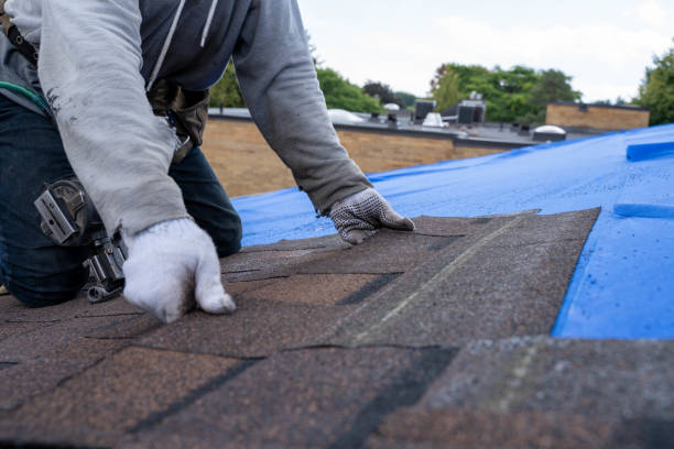 Best Roof Leak Repair  in Brownfields, LA